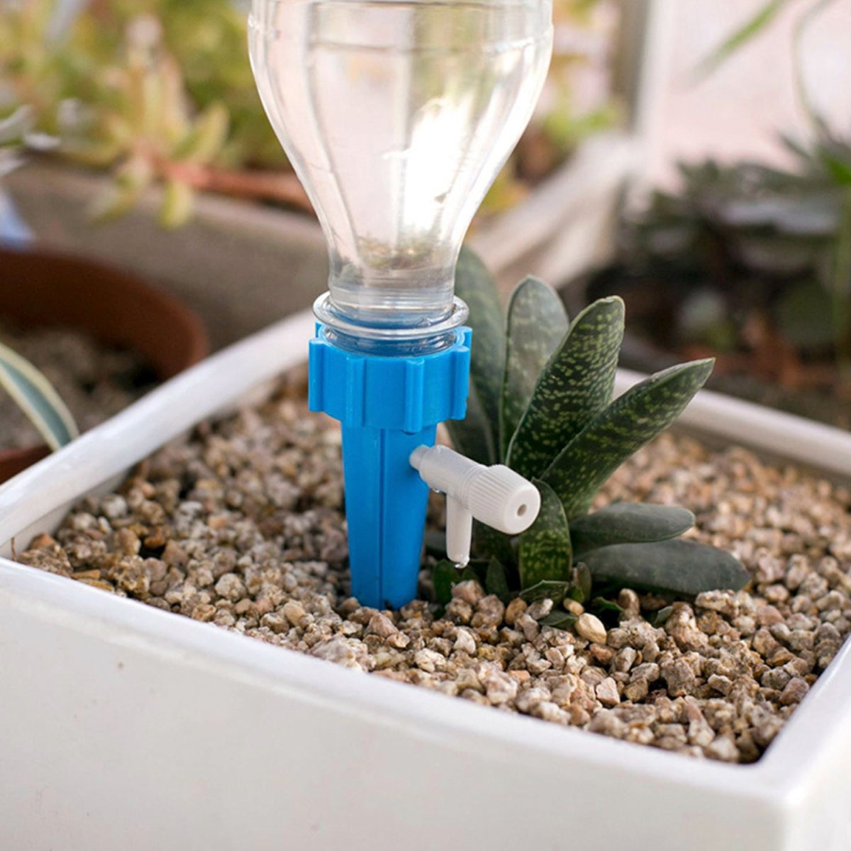 Plant watering spikes package contents