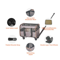 Pet carrier with extendable handle and lockable spinner wheels