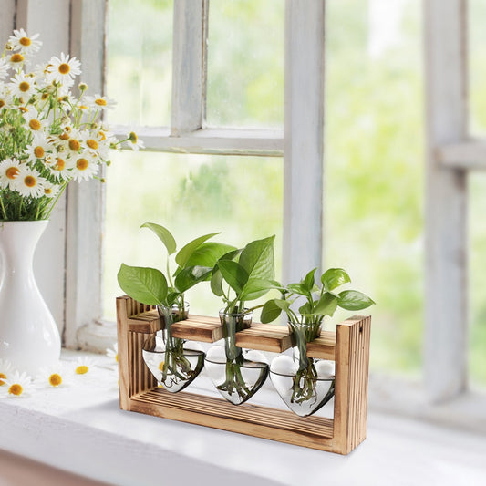 Plant Propagation Station with 3 glass vases on wooden stand